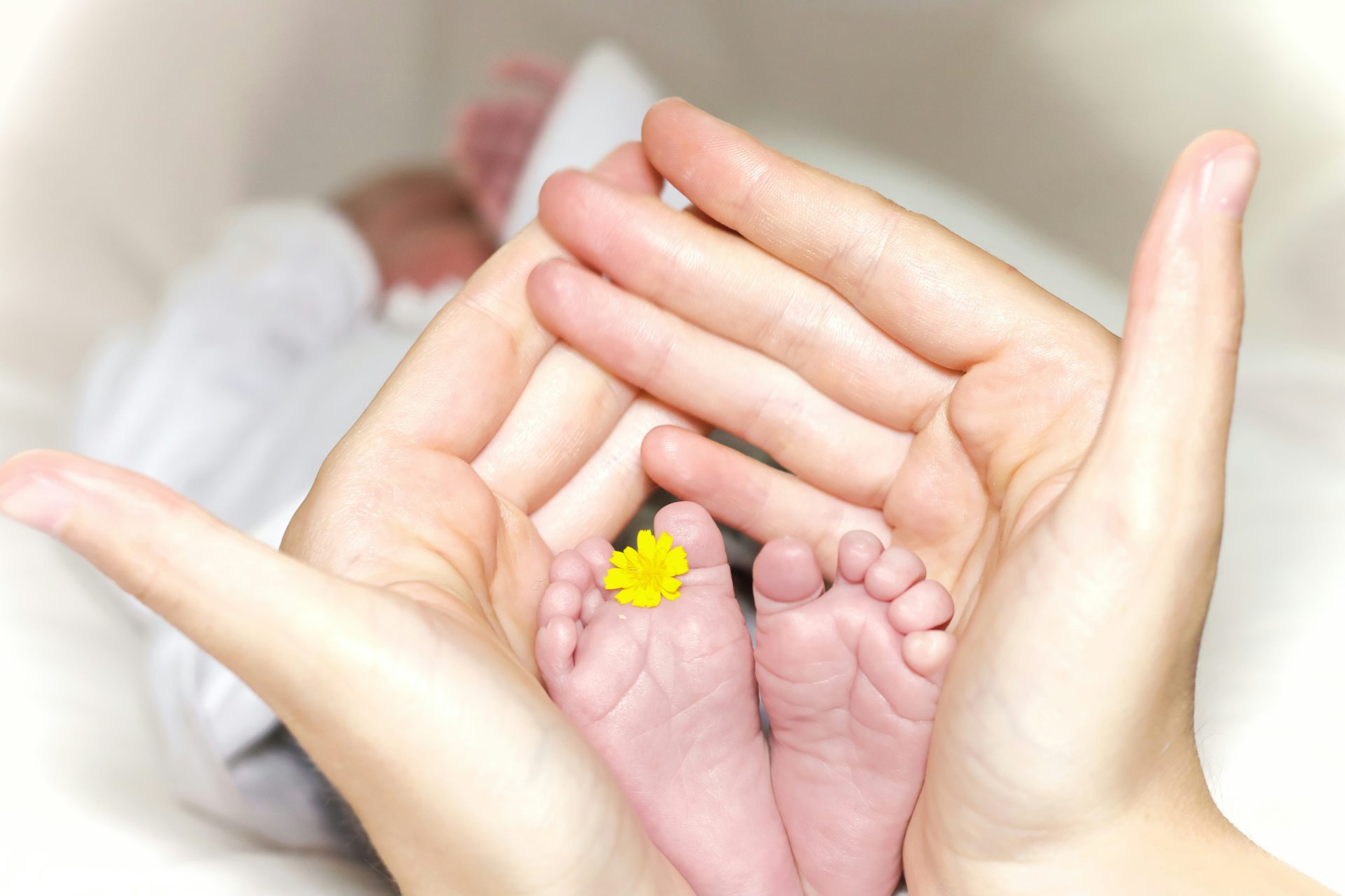 Persona sosteniendo en las manos los pies de un bebe con una flor